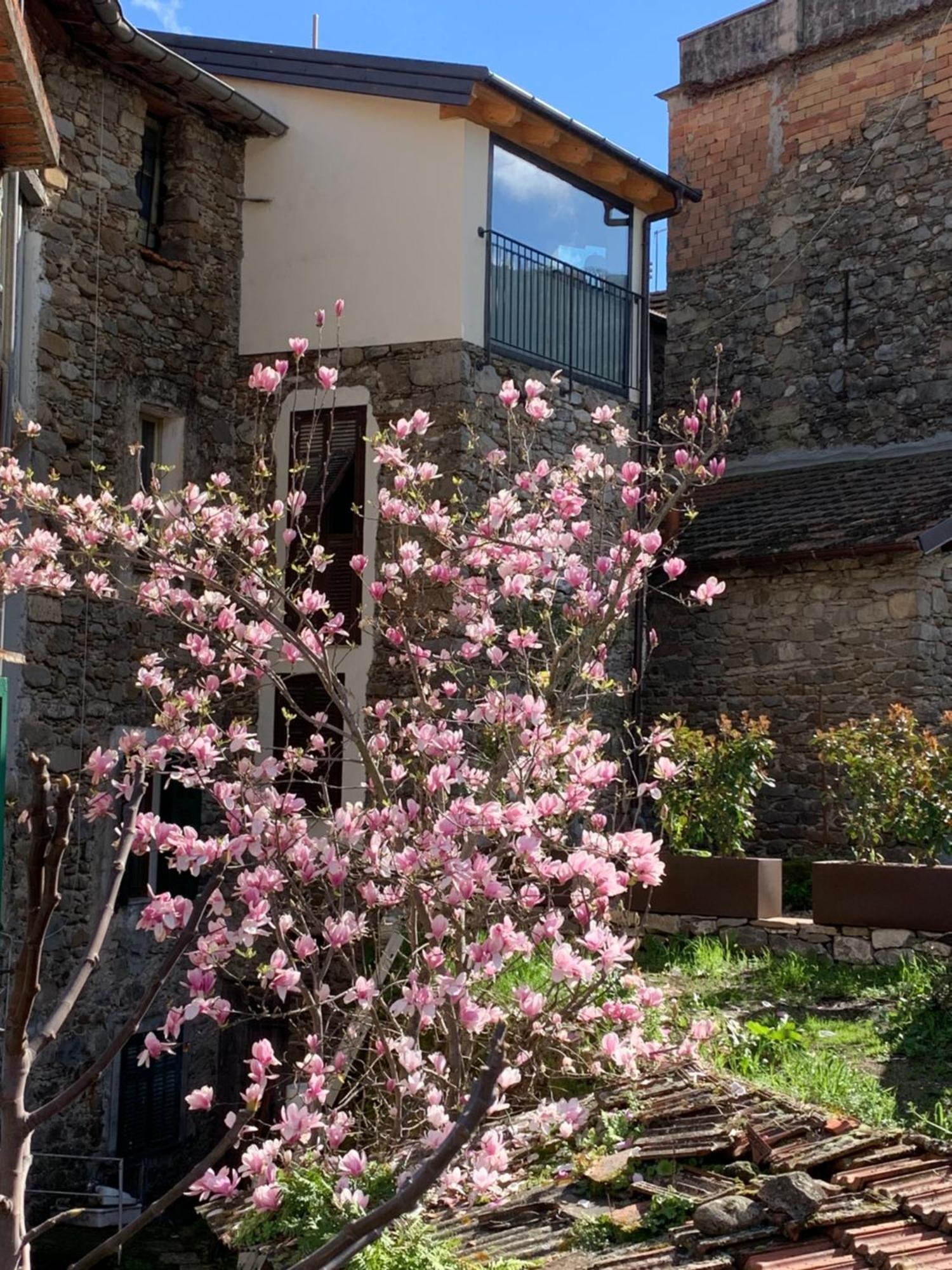 Vicolo Rosso 2 Villa Dolceacqua Exteriör bild